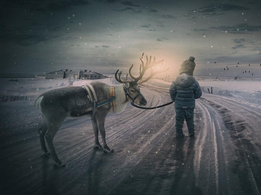 Boy And Reindeer jigsaw puzzle